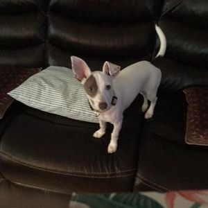 Meet your Posher, Becky